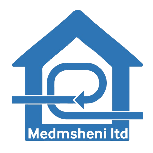 Medmsheni Logo